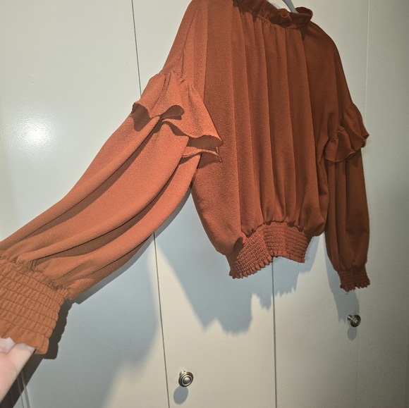 Cliche Ruffled Rust Cropped Top - Picture 3 of 6